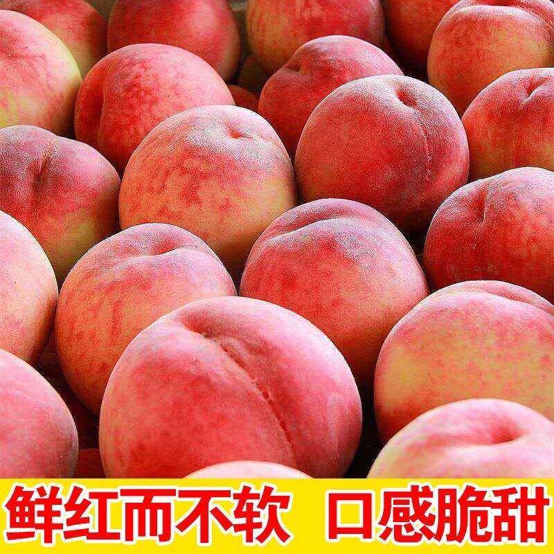 水蜜桃新鲜桃子水果毛桃香软当季现摘现发脆甜多汁孕妇儿童整箱