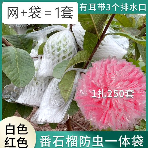 水果网套袋番石榴防虫袋一体袋水果保护袋芭乐番石榴套袋泡沫袋包
