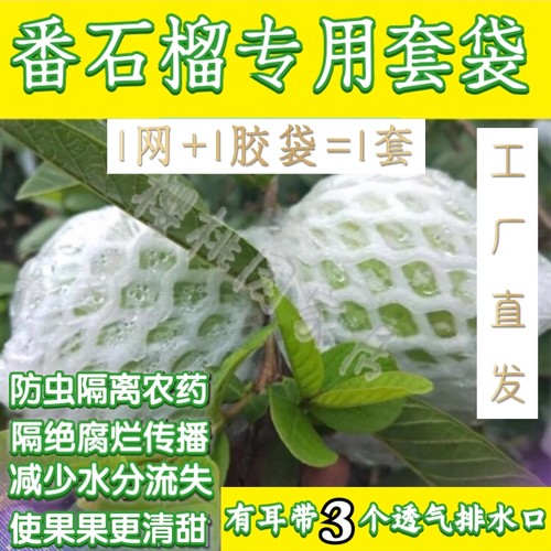 芭乐番石榴网袋套袋防虫水果专用保护袋特厚款番石榴泡沫一体网袋