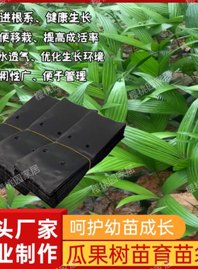 槟榔营养袋桉树育苗袋水果育苗袋黑色一次性加厚种植袋咖啡树苗袋