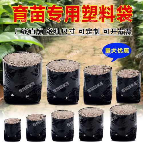 育苗袋桉树水果育苗袋槟榔营养袋黑色一次性加厚种植袋树苗营养袋