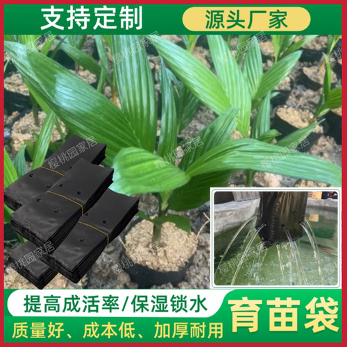 槟榔育苗袋柑橘营养袋果树培育咖啡苗种植一次性移栽加厚袋工厂店