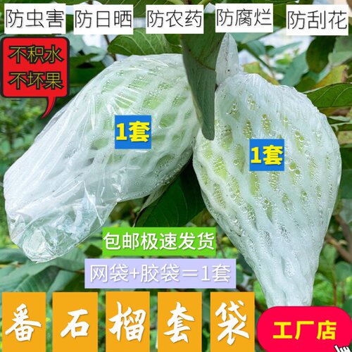 芭乐套袋番石榴杨桃一体