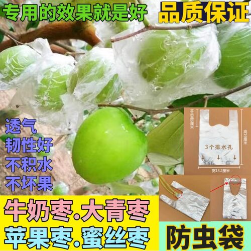 专用包邮背心型透气牛奶青枣