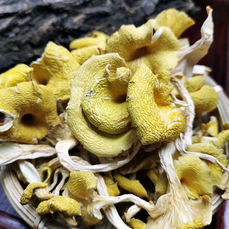 玉皇蘑东北长白山特产干蘑菇榆树蘑榆黄蘑鸡油菌玉皇菇250g包邮