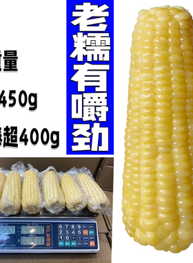 sa姆同款东北新鲜糯玉米棒熟白糯真空保鲜老玉米甜粘大棒6-8棒5斤