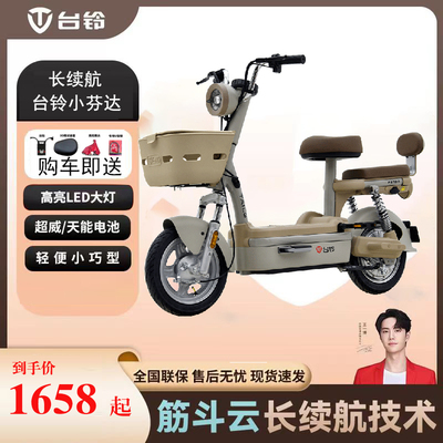 台铃续航60公里新品48/21电池