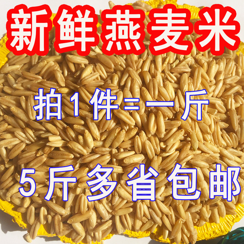 燕麦米鸟食鸟粮雀麦野燕麦仁虎皮鹦鹉牡丹玄风小太阳五斤包邮图片