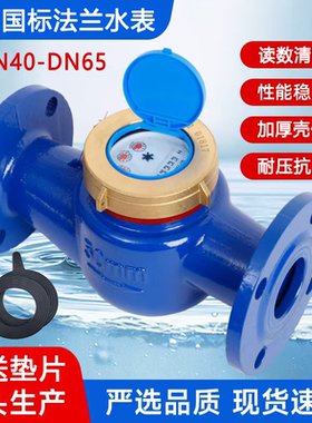 LXS法兰旋翼式DN25–65自来水工业干湿式机械家用工业防冻水表