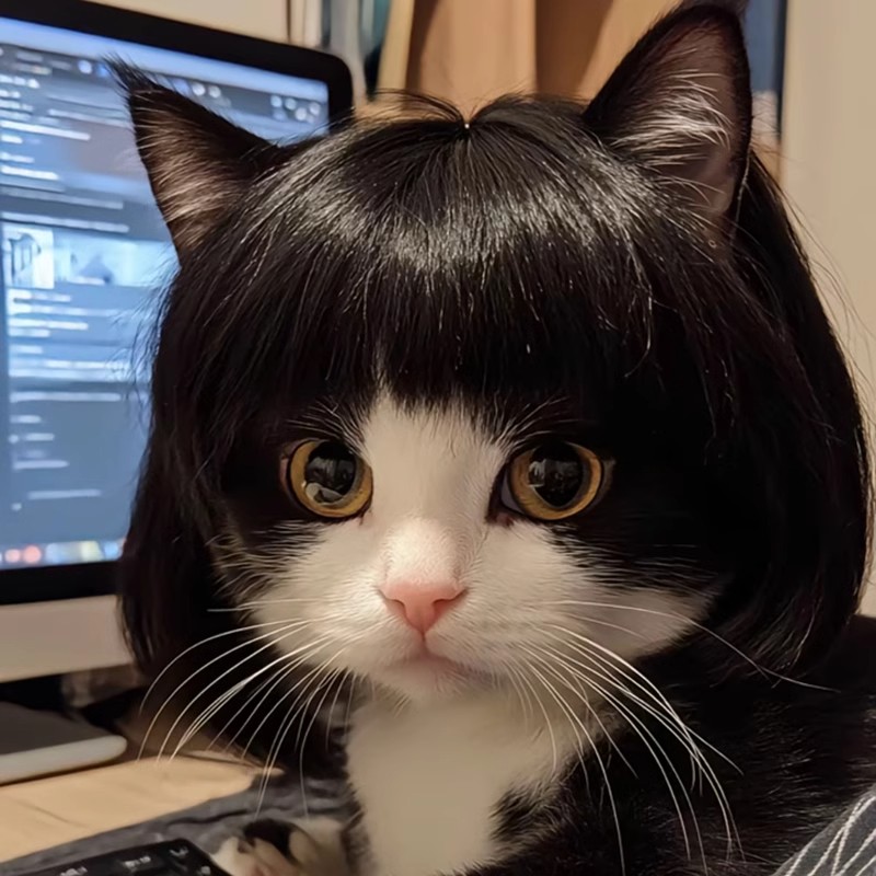 猫咪假发套创意搞怪小猫头饰头发