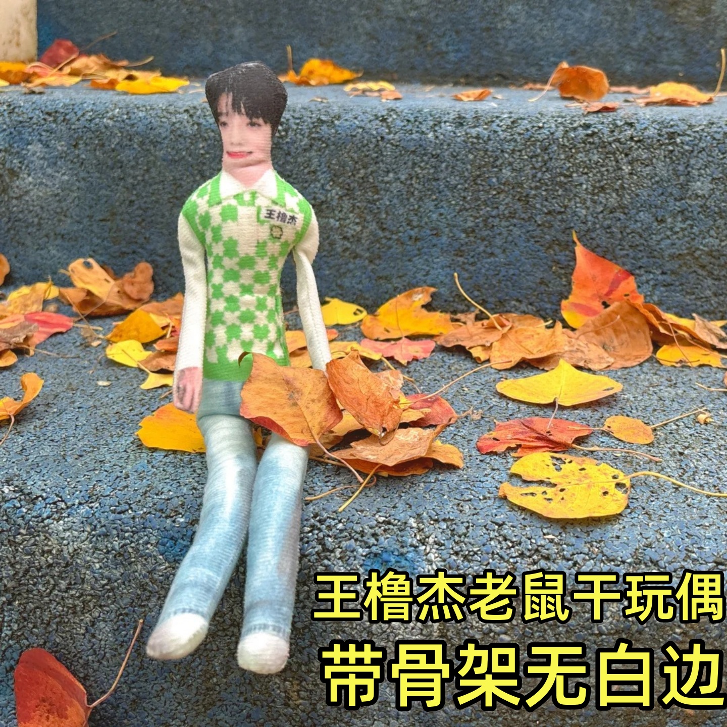 王橹杰28cm老鼠干无白边创意玩偶