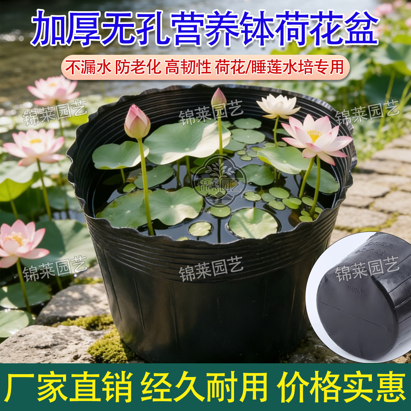 无孔营养钵荷花盆绿植培育盆无孔图片