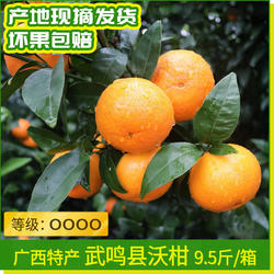 包邮广西特产武鸣沃柑9.5斤 等级OOOO果园现摘坏果包赔农产品酸甜