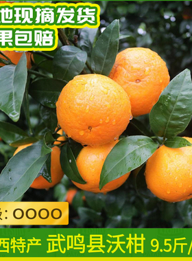 包邮广西特产武鸣沃柑9.5斤 等级OOOO果园现摘坏果包赔农产品11月