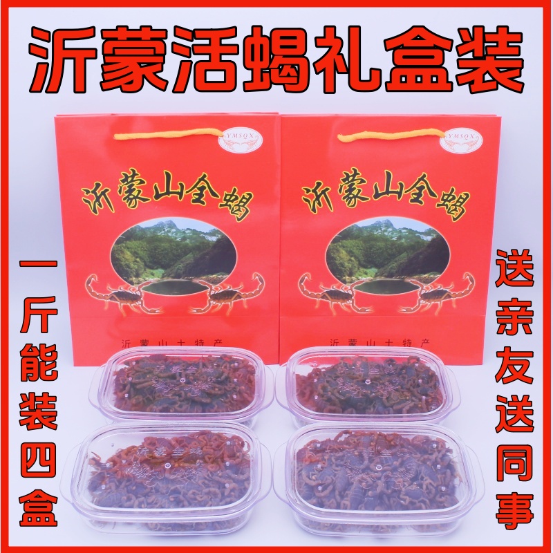 沂蒙山十足全蝎活蝎子禮盒裝送禮