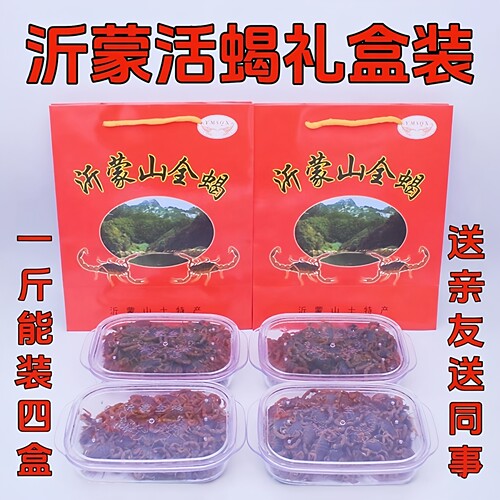 沂蒙山十足全蝎活蝎子礼盒装送礼