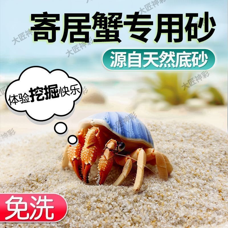 免洗海沙寄居蟹专用沙水草石乌龟铺底纯鱼缸底砂螃蟹底沙天然流沙