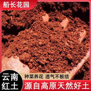 云南红土种植土纯天然高原酸性蓝莓专用红泥土养花种菜通用营养土