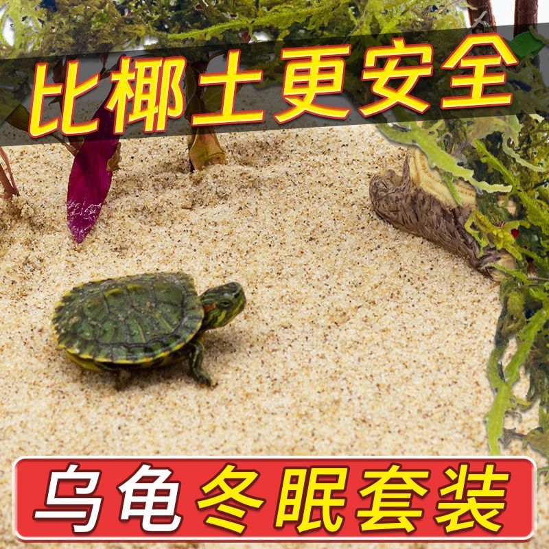 乌龟冬眠沙甲鱼下蛋孵化专用螃蟹宠物鱼缸底砂天然专用沙造景爬虫图片