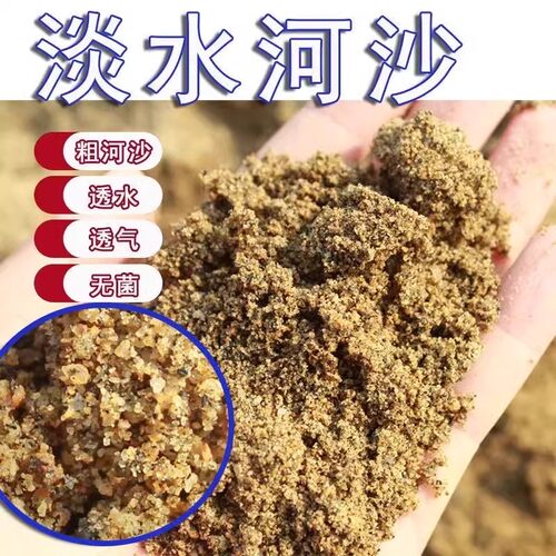 河沙天然淡水河沙育苗基质营养土鱼缸垫底多肉种植爬宠孵化河沙土