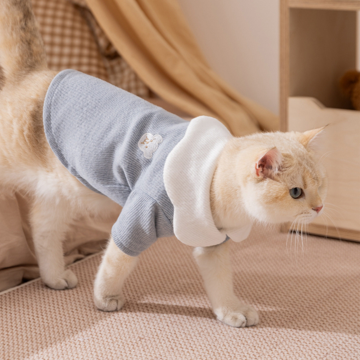 秋冬猫衣服软萌双色纽扣打底衫花边翻领两脚德文猫无毛猫宠物衣服