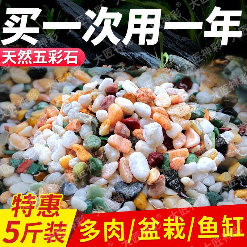 天然雨花石原石鱼缸底砂鹅卵石造景小石头装饰彩色石子五花石龟缸