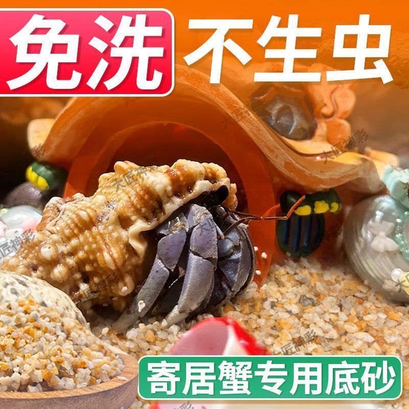 免洗海沙寄居蟹专用沙水草石乌龟铺底纯鱼缸底砂螃蟹底沙天然流沙
