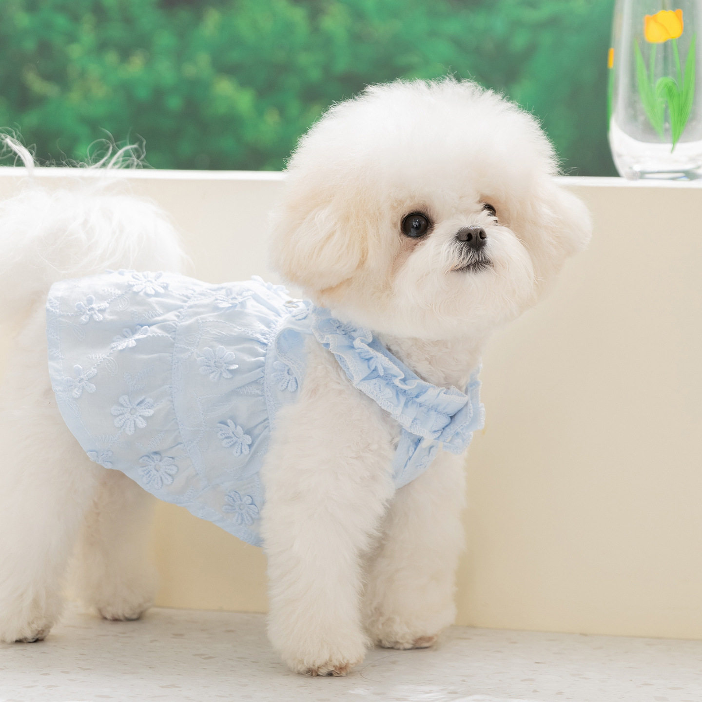 韩系蓝色田园花边领牵引连衣裙小型犬狗狗夏季薄款宠物衣服猫衣服