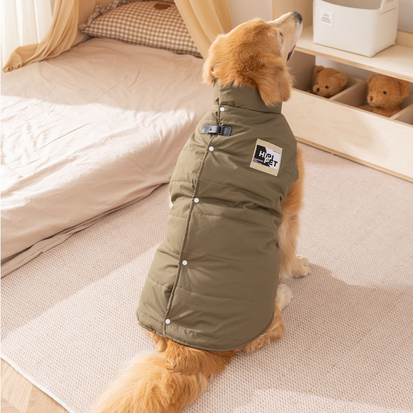 秋冬新款宠物简约布金毛拉布拉多大型犬棉衣冲锋马甲狗狗衣服