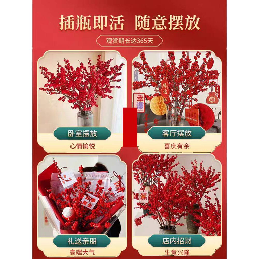 进口北美冬青鲜切枝水培红果年宵花喜庆发财果鲜花绿植真花室内养