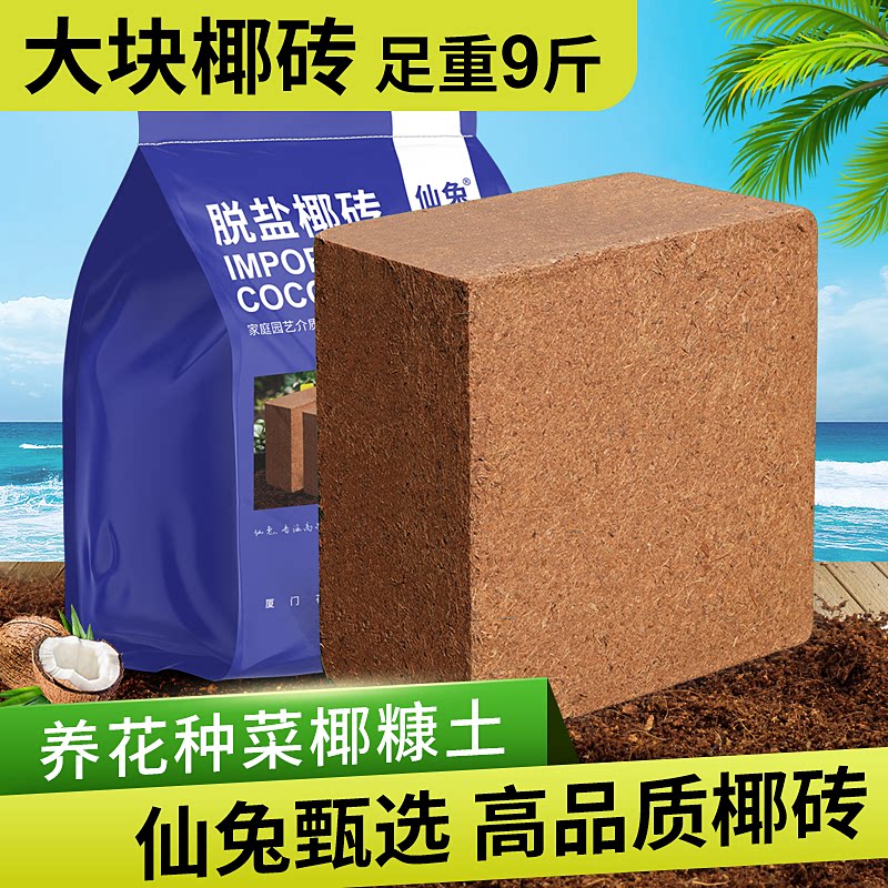 仙兔椰砖进口好泡发整块发货