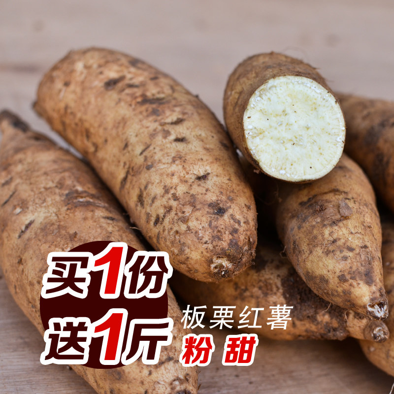 宁洱板栗红薯新鲜高山小香薯栗子番薯超粉甜5斤包邮白皮白心黄心