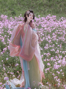 司南阁汉服【春山】女款春夏季宋制交领长衫大袖衫披帛汉服