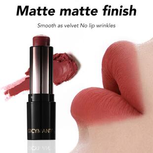 跨境彩妆 Matte lipstick哑光口红低饱和唇彩Non-stick glass