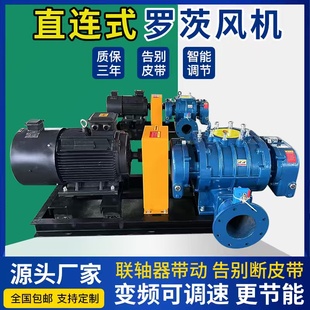 直联式罗茨风机新款水产养殖污水处理气力输送高压三叶罗茨鼓风机