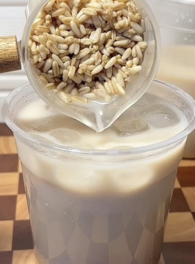 甘肃兰州特产甜醅子奶茶燕麦醪糟甜胚子奶茶店专用莜麦酒酿酒麸子