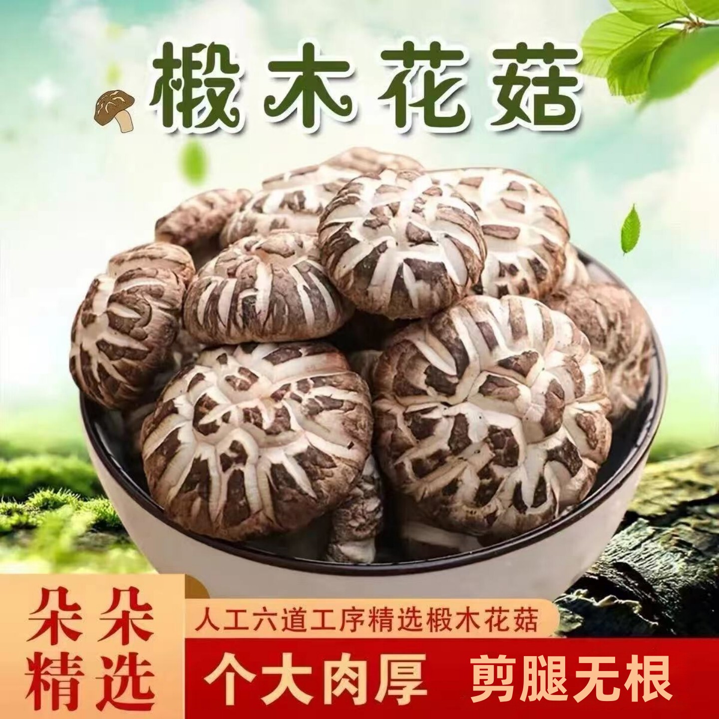 东北特产非野生椴木大花菇干货500g包邮干香菇新货蘑菇散装剪脚菇
