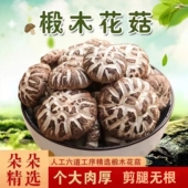 干香菇新货蘑菇散装 东北特产非野生椴木大花菇干货500g 包邮 剪脚菇