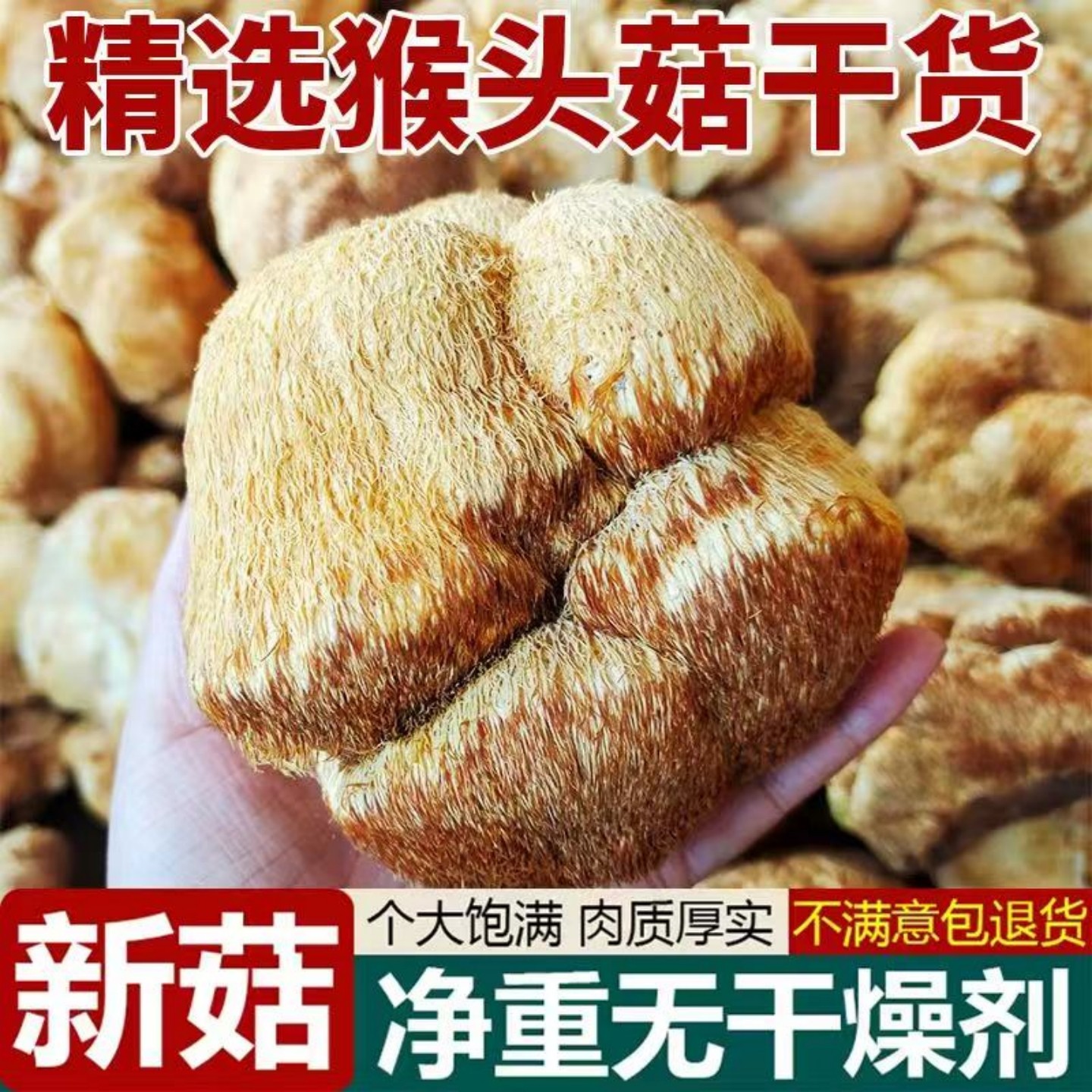 东北椴木猴头菇无根250g