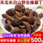 东北特产野生榛蘑丁干货500g小鸡炖蘑菇长白山香菇头无根菌菇新货