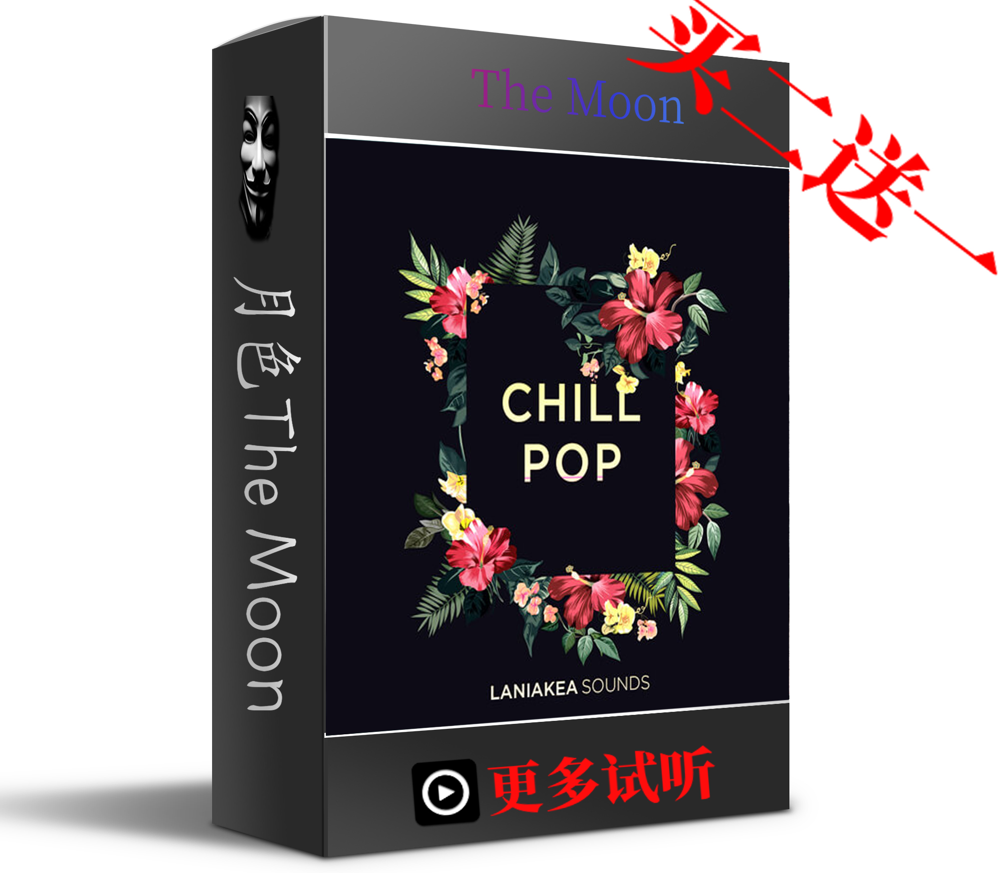 Chill Pop流行氛围电子雷鬼风格 旋律Loop采样包/鼓组/Voc