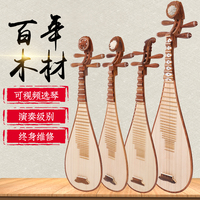刺猬紫檀木琵琶樂器初學(xué)者入門專業(yè)考級演奏級專用支持視頻選琴