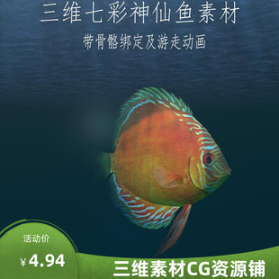 三维C4D七彩神仙鱼fbx阿莲卡3ds观赏鱼obj
