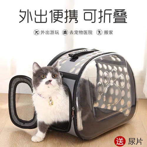 透气外出猫笼狗狗手提太空背包