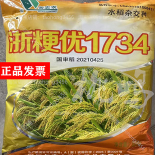 国审圆粒杂交水稻种子浙粳优1734比旱优73高产优质珍珠香米粳稻谷