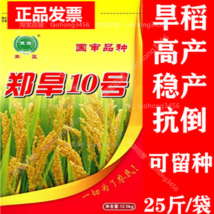 国审旱稻种子郑旱10号圆粒水稻谷种籽高产可留种子25斤整袋原包装