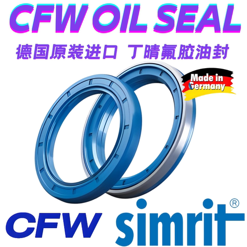德国原装进口CFW骨架油封