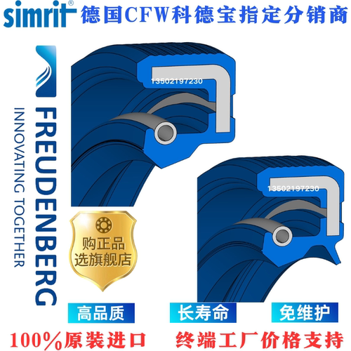 德国cfw丁晴氟胶油封尺寸大全