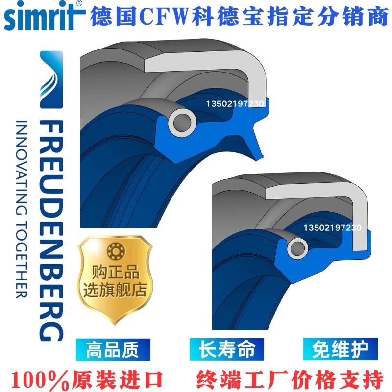 德国CFW进口铁壳顶起骨架B1油封
