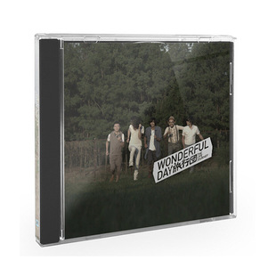 Day Wonderful CD唱片 旅行团乐队： 正版